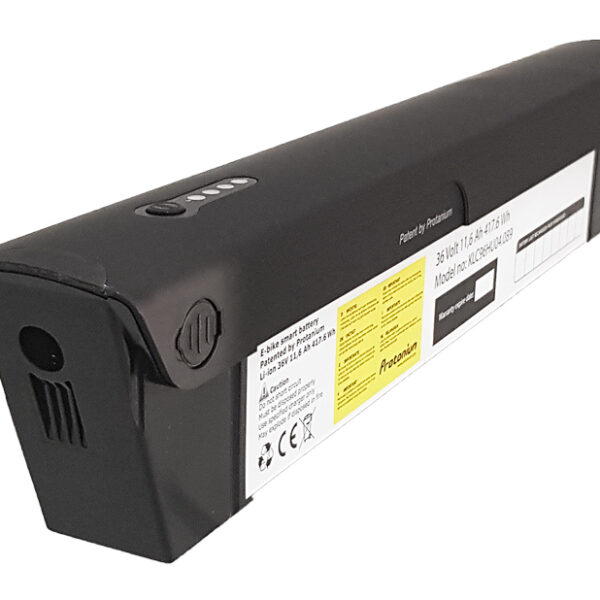 Aufbereitung Saxonette by Protanium 36V Zellentausch Service